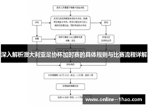 深入解析澳大利亚足协杯加时赛的具体规则与比赛流程详解