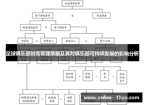 足球俱乐部财务管理策略及其对俱乐部可持续发展的影响分析