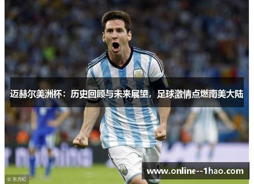 迈赫尔美洲杯：历史回顾与未来展望，足球激情点燃南美大陆