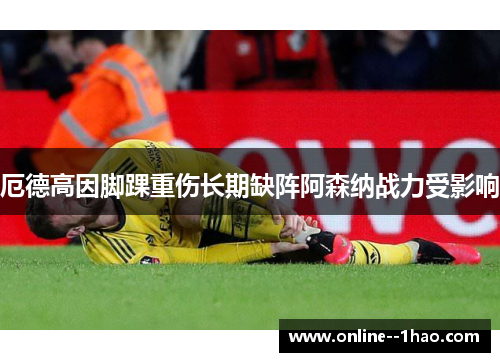 厄德高因脚踝重伤长期缺阵阿森纳战力受影响 厄德高因脚踝重伤长期缺阵阿森纳战力受影响